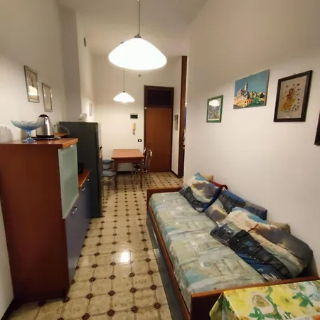 Comfy 80m From *